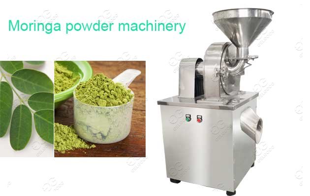 Moringa Leaf Powder Processing Machine Moringa Powder Manufacturing Process