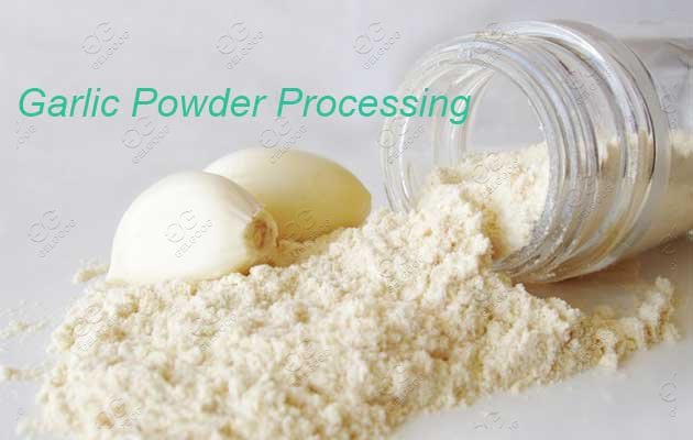 garlic powder process steps
