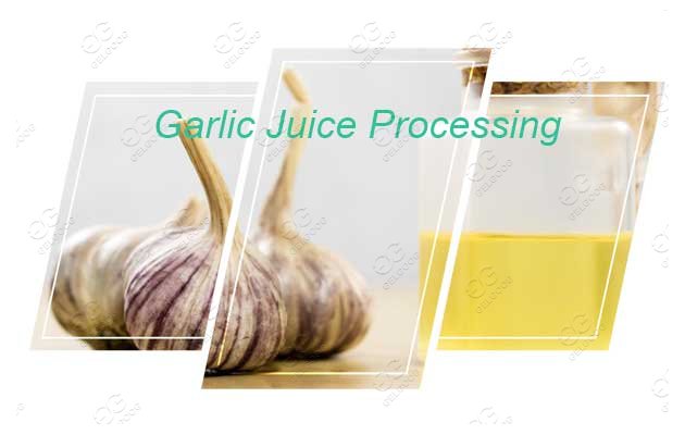 garlic juice processing machine