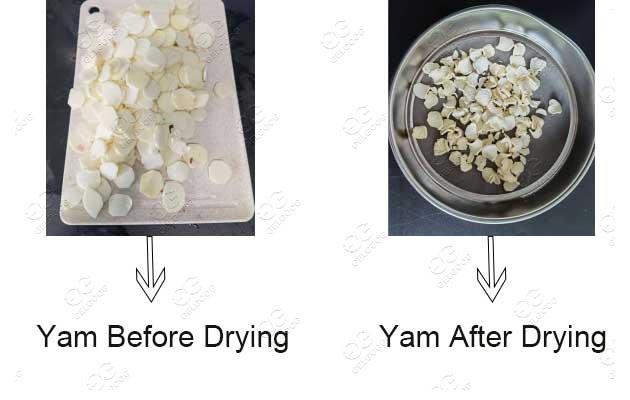 Comparison of the shape of yam before and after drying