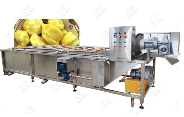 Automatic Jackfruit Sanitize Cleaning and Air-Drying machine 