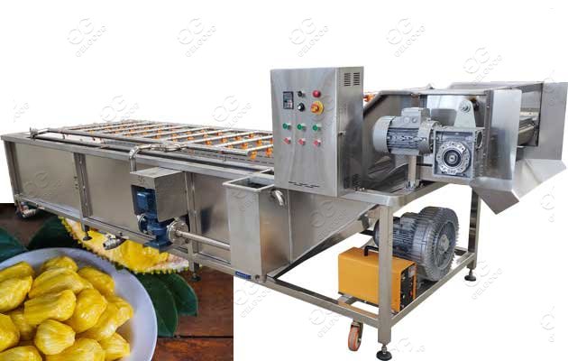 Automatic Jackfruit Sanitize Cleaning and Air-Drying Machine