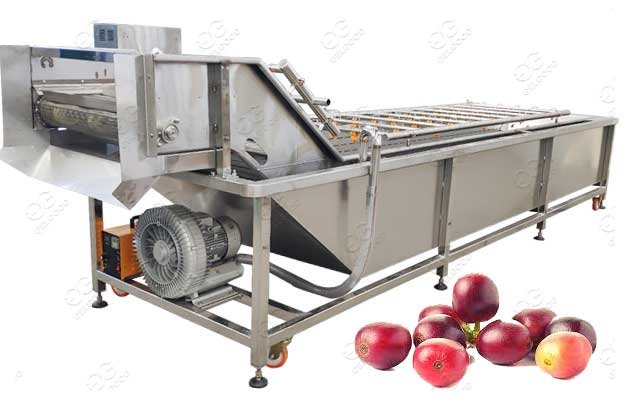 coffee cherry washing machine manufacturer