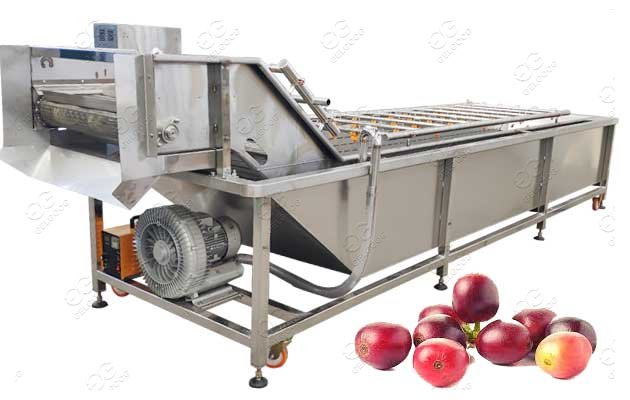 Coffee Cherry Washing Machine For Sale