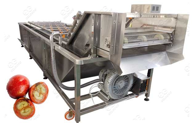 Coffee Cherry Washing Machine For Sale