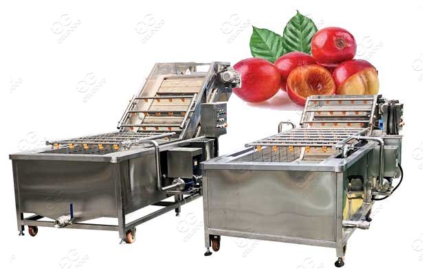 Coffee Cherry Washing Machine For Sale