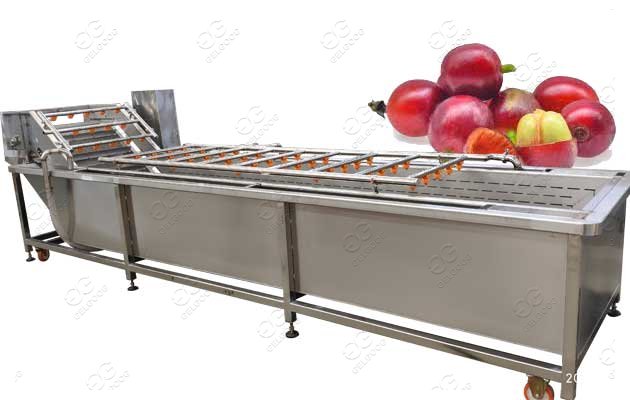 coffee cherry processing machine