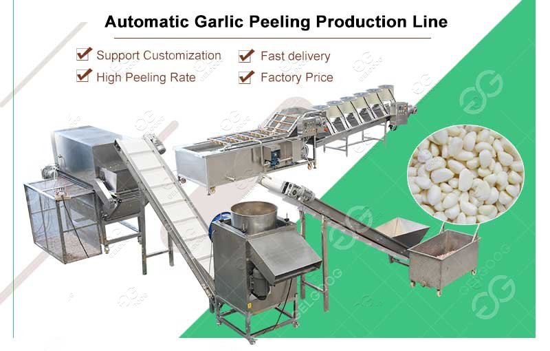 Industrial Garlic Peeling Production Line