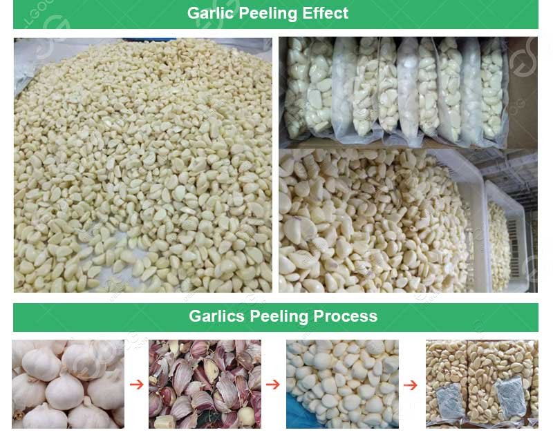 Automatic Garlic Peeling Production Line