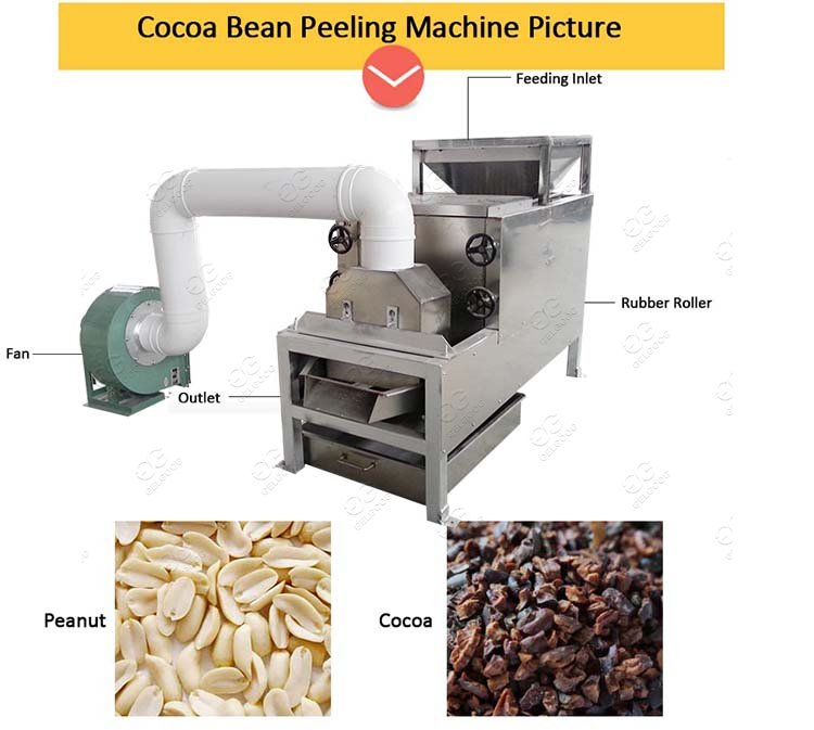 Automatic Cocoa Bean Peeling Machine Prices