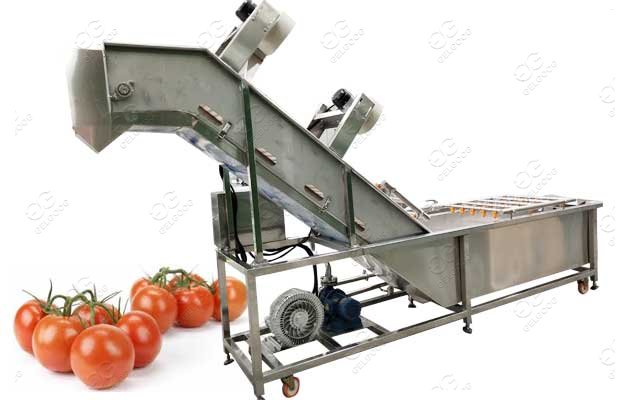 Customized Tomato Washer Machine Tomato Process Machine