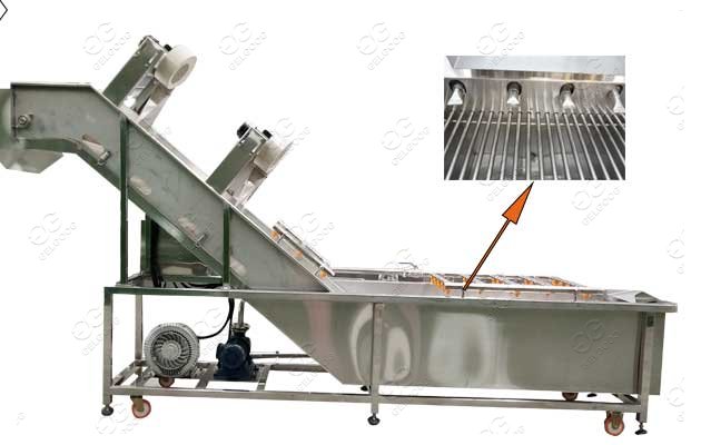 Customized Tomato Washer Machine Tomato Process Machine