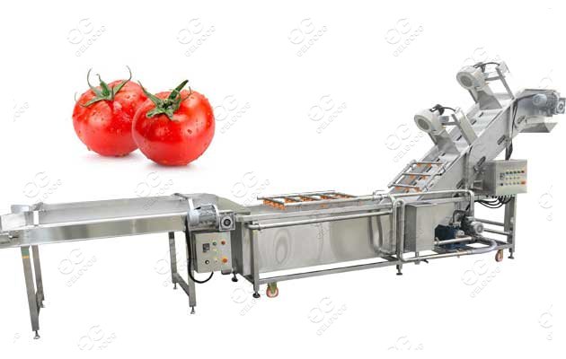 tomato washing and sorting machine