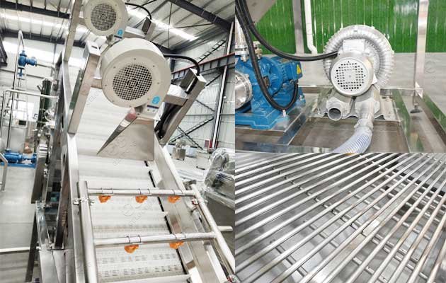 Customized Tomato Washer Machine Tomato Process Machine