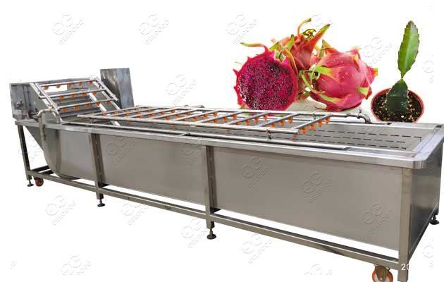 dragon fruit washing machine price for sale