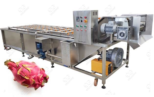 Air Bubble Dragon Fruit Washing Machine Dragon Grading Machine