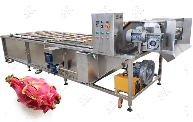 dragon fruit washing machine