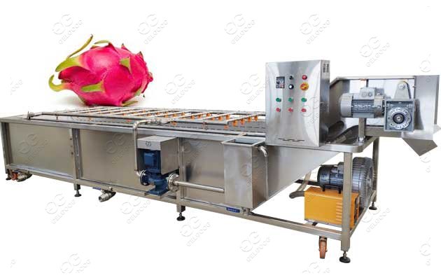 Air Bubble Dragon Fruit Washing Machine Dragon Grading Machine