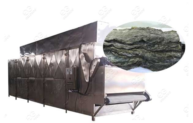 Continuous Kelp Drying Machine Seaweed Processing Machine Speed Adjustable