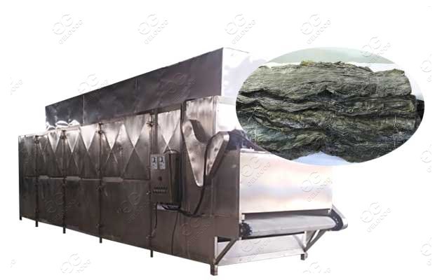 kelp processing machine