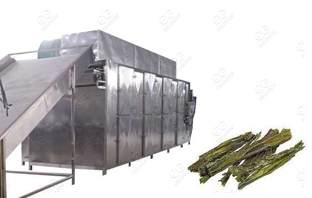 Continuous Kelp Drying Machine Seaweed Processing Machine Speed Adjustable