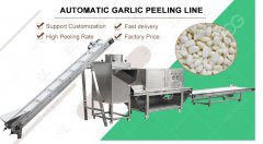 Fresh garlic Separating And Peeling Production Line