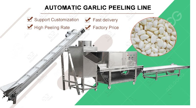 Customized Automatic Dry Garlic Peeling Peeler Machine