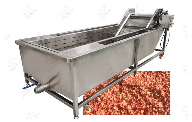 Air Bubble Pomegranate Washing Machine Industrial Use