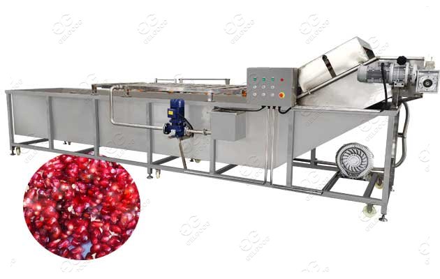 Air Bubble Pomegranate Washing Machine Industrial Use