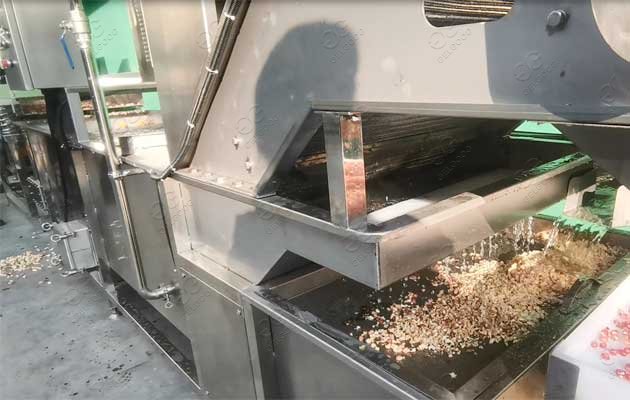 Air Bubble Pomegranate Washing Machine Industrial Use