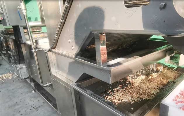 washing machine for pomegranate seeds