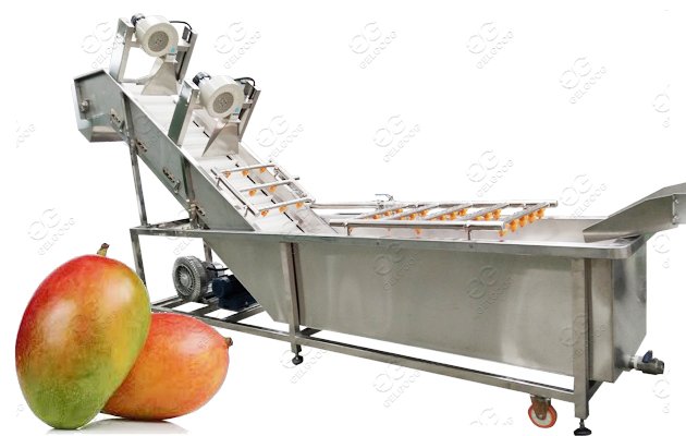 mango hot water treatment machine
