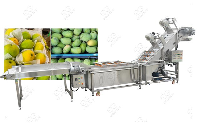 hot-water treatment plant for mango