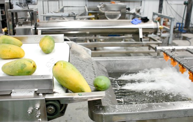 Mango Hot Water Treatment Machine Plant