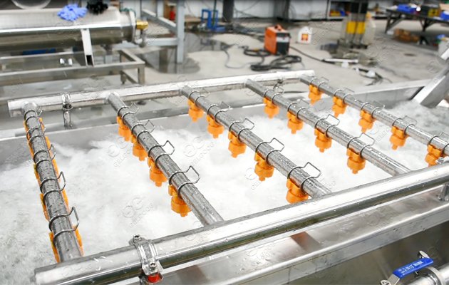 Mango Hot Water Treatment Machine Plant
