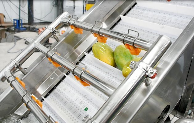 Mango Hot Water Treatment Machine Plant