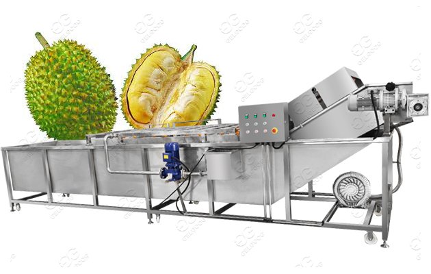 Durian washing and Sterilizating machine Durian machine 