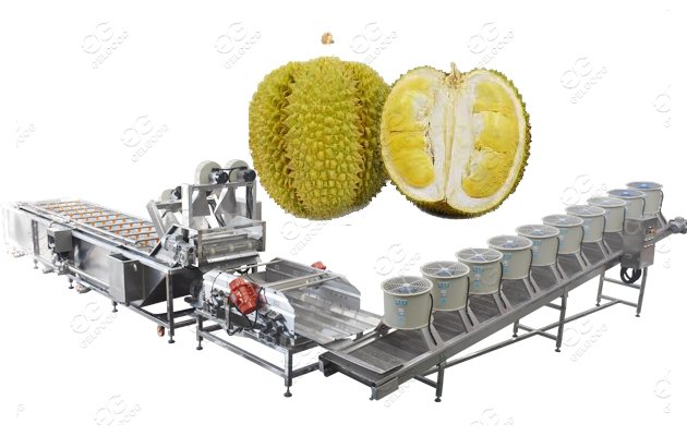 durian washing and sterilizing machine