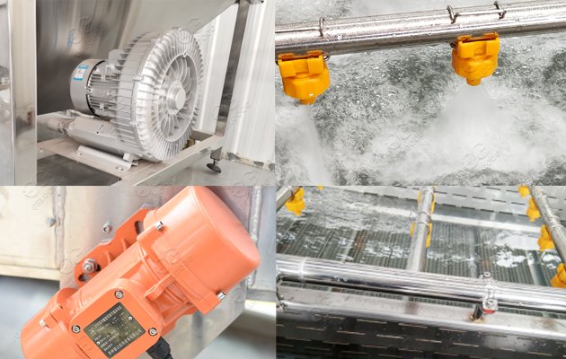 Vegetable washers