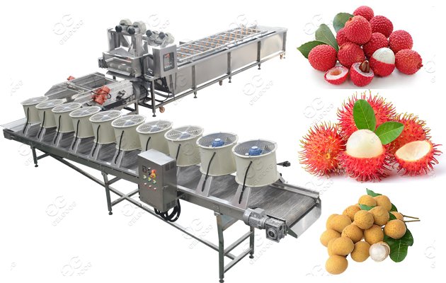  Lychee Rambutan Longan washing machine 