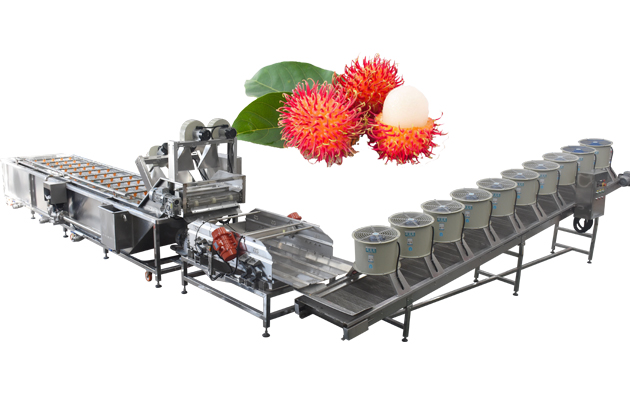  Lychee Rambutan Longan Washing Machine