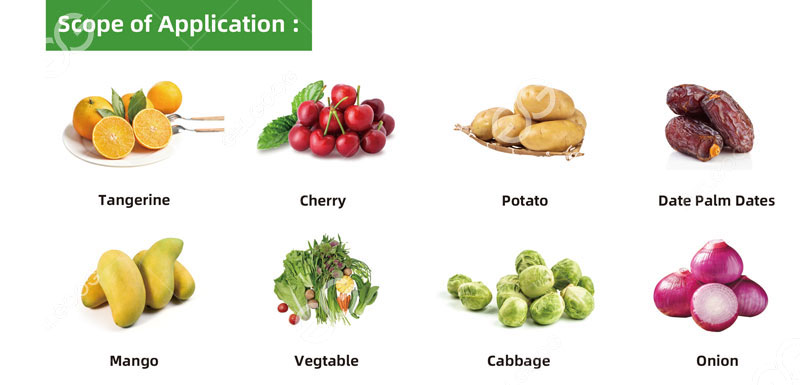 vegetable processing