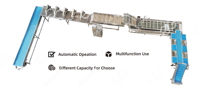 vegetable processing machinery