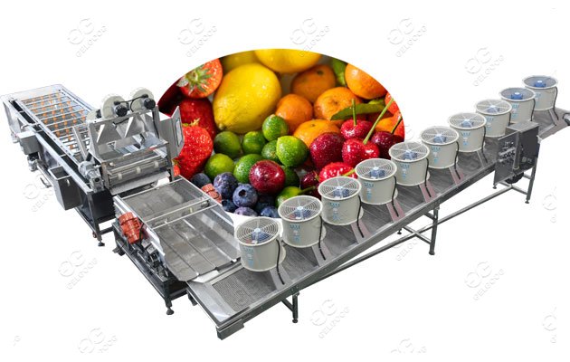 fruit vegetable processing machine cost