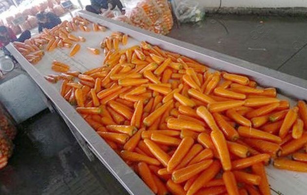 carrot washing