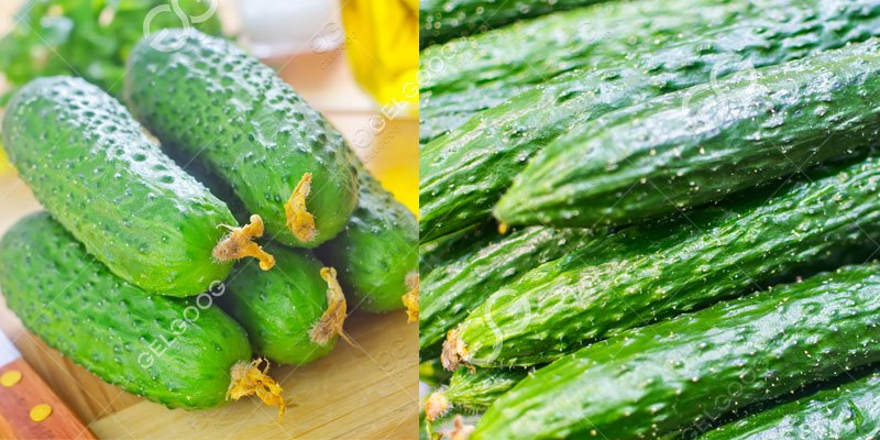 how to procesing cucumber 