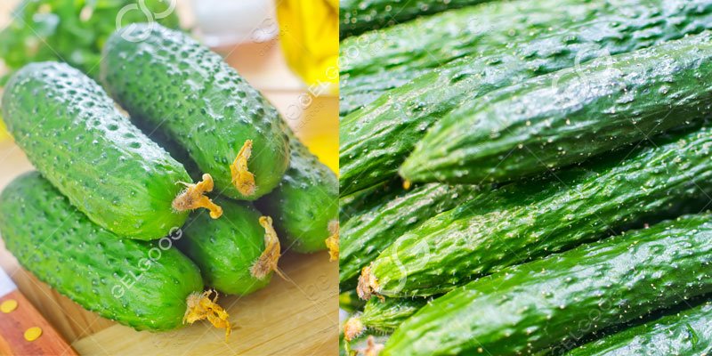 how to procesing cucumber
