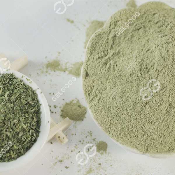 make dry moringa leaves into  powder