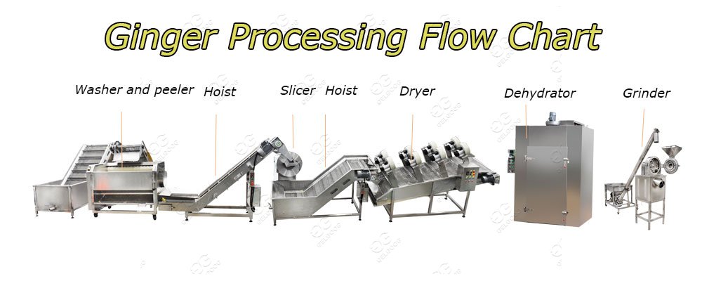 ginger processing flow chart