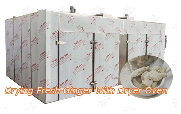ginger drying machine for sale